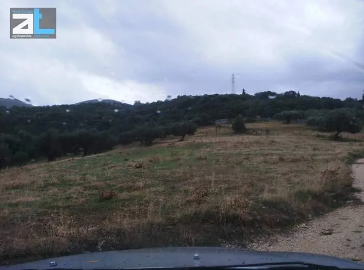 Οικόπεδο 9600τ.μ.  - 3