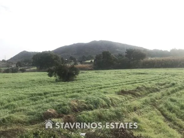 Land Parcel 2007m²  - 3