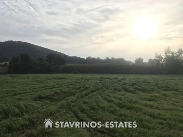 Land Parcel 2007m²  - 5