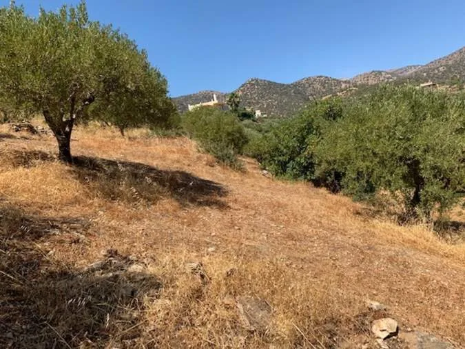 Plot 1367m²  - 4