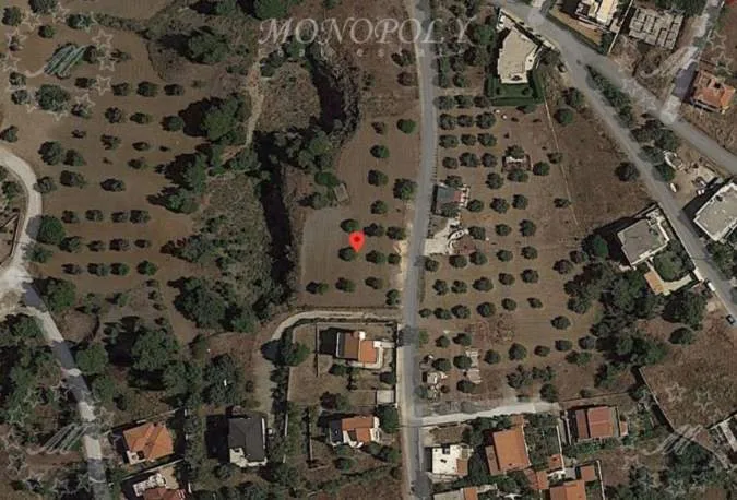 Plot 1000m²  - 2
