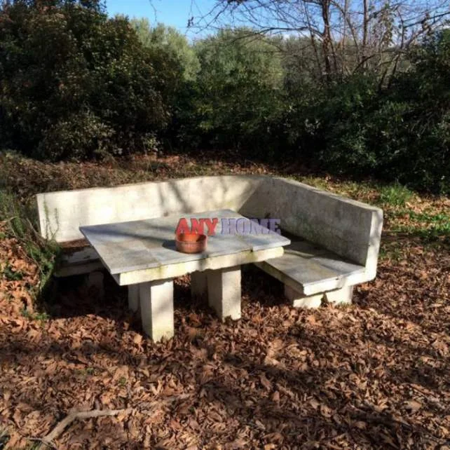 Αγροτεμάχιο 3750τ.μ.  - 2