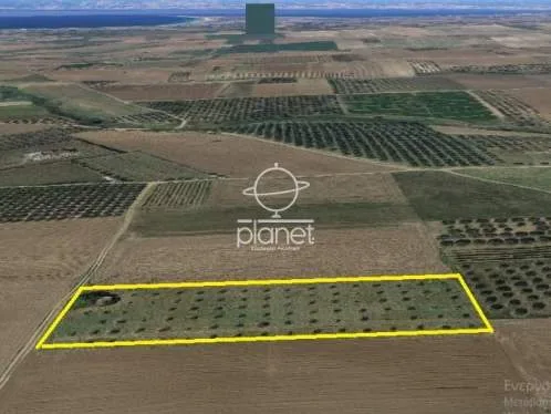 Land Parcel 6000m²  - 2