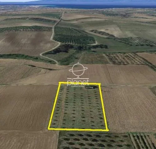 Land Parcel 6000m²  - 3