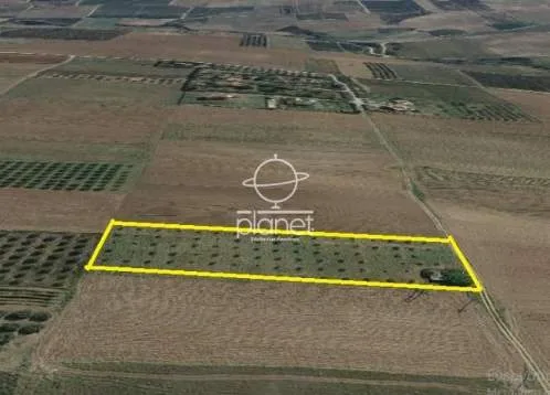 Land Parcel 6000m²  - 4