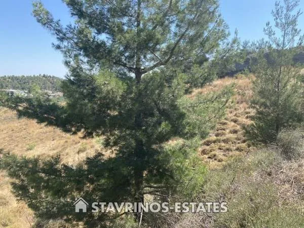 Αγροτεμάχιο 3688τ.μ.  - 2