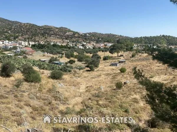 Αγροτεμάχιο 3688τ.μ.  - 4