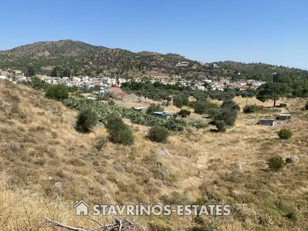 Αγροτεμάχιο 3688τ.μ.  - 5