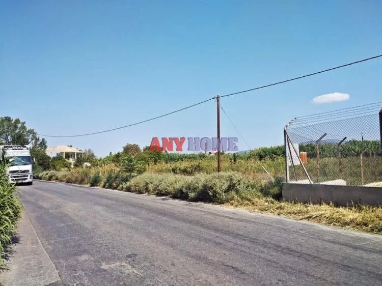 Αγροτεμάχιο 6500τ.μ.  - 5
