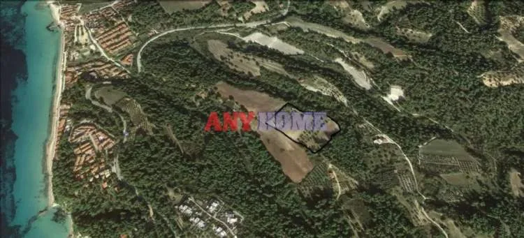 Αγροτεμάχιο 34000τ.μ.  - 4