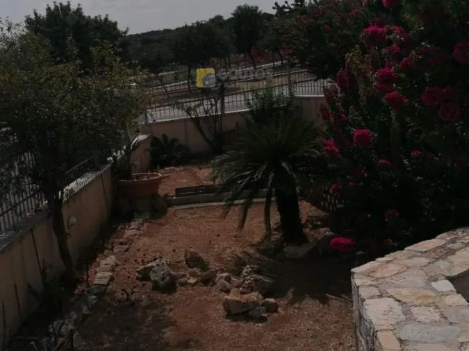 Μονοκατοικία 475τ.μ.  - 4