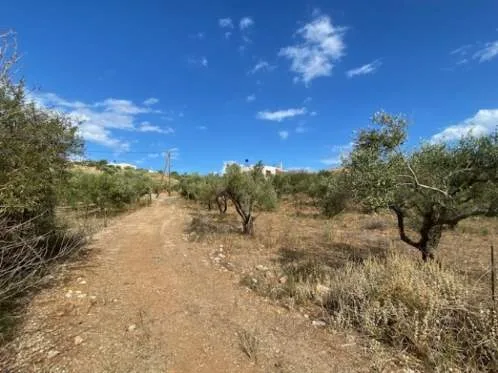Land Parcel 2742m²  - 3