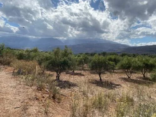 Land Parcel 2742m²  - 4