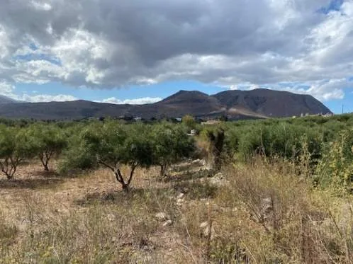 Land Parcel 2742m²  - 5