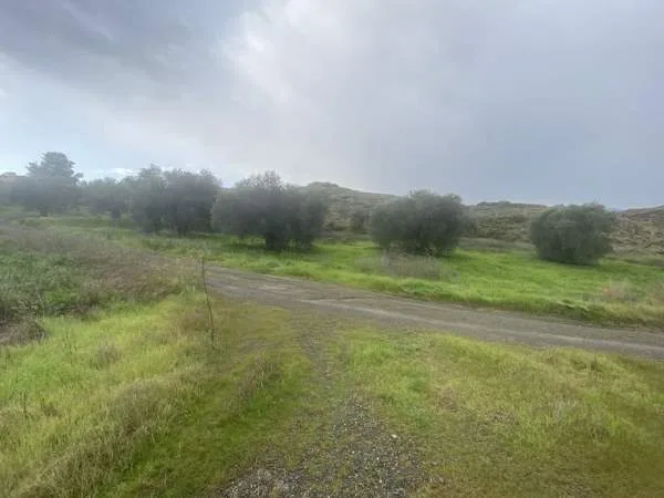Land Parcel 5909m²  - 2