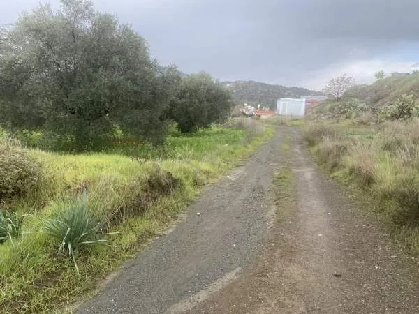 Land Parcel 5909m²  - 3