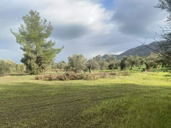 Αγροτεμάχιο 4181τ.μ.  - 2