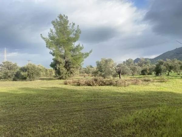 Αγροτεμάχιο 4181τ.μ.  - 3