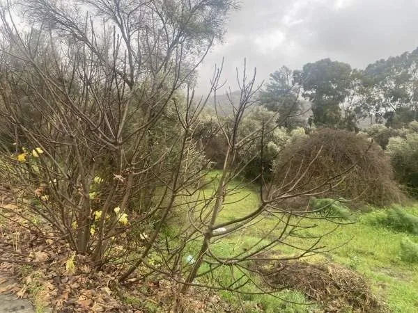 Land Parcel 1700m²  - 4