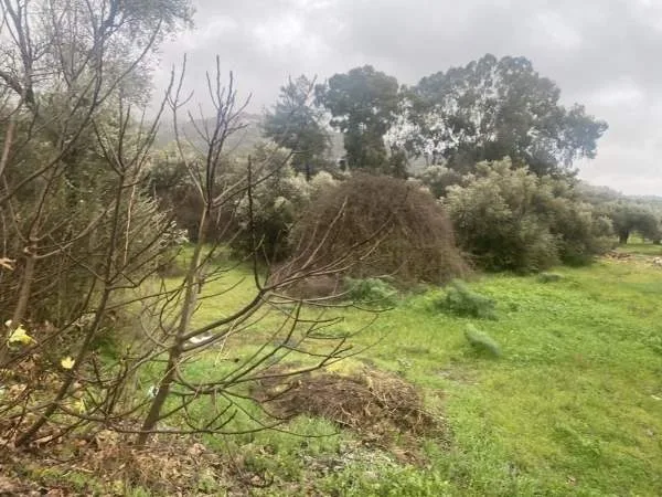Land Parcel 1700m²  - 5