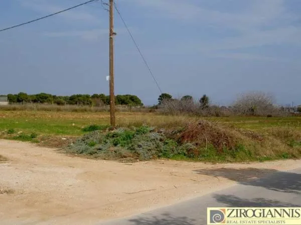 Αγροτεμάχιο 5800τ.μ.  - 5