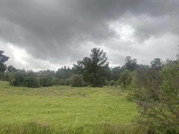 Land Parcel 25438m²  - 2