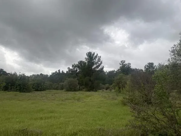 Land Parcel 25438m²  - 3