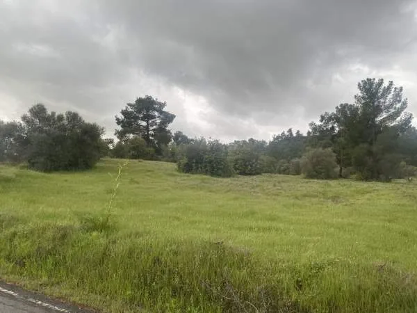 Land Parcel 25438m²  - 4