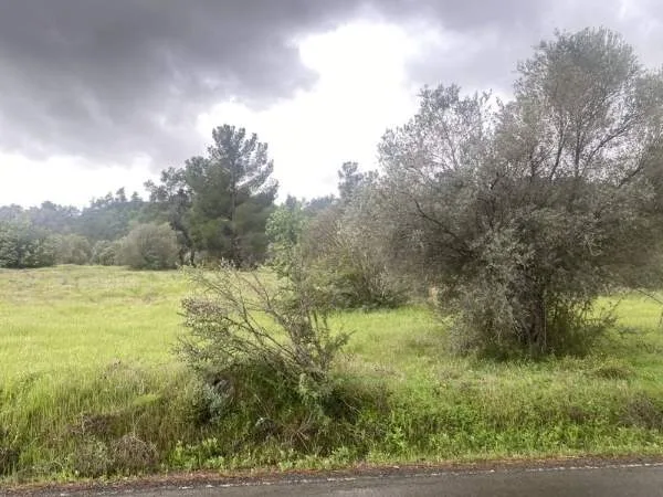 Land Parcel 25438m²  - 5