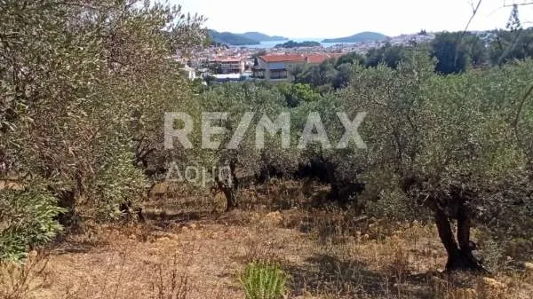 Αγροτεμάχιο 10174τ.μ.  - 3