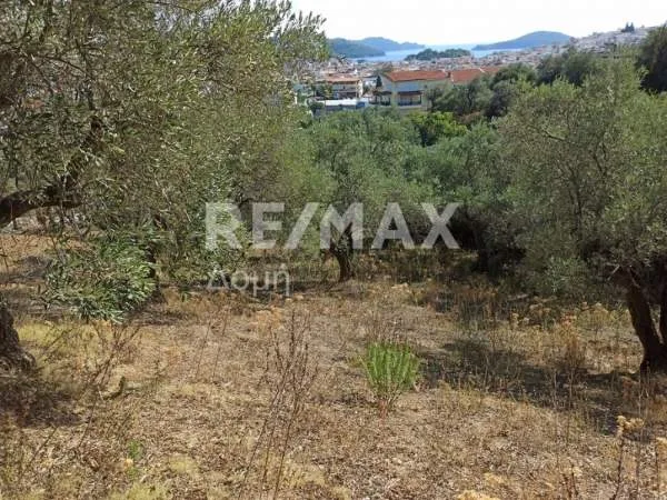 Αγροτεμάχιο 10174τ.μ.  - 4