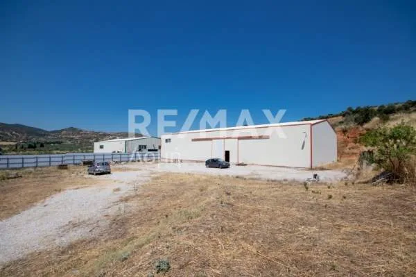 Βιοτεχνικοί / Βιομηχανικοί χώροι 900τ.μ.  - 5