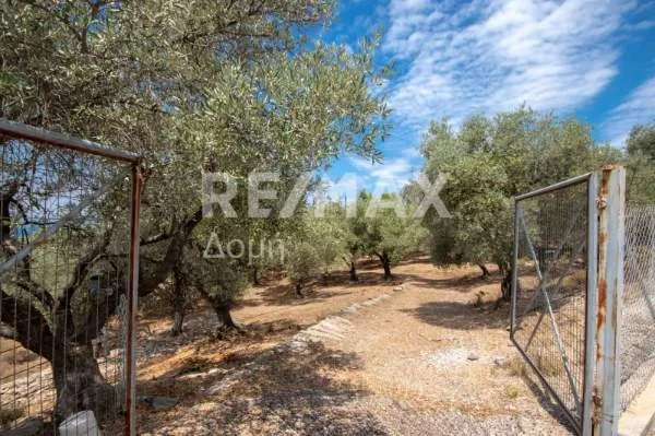 Land Parcel 13524m²  - 3