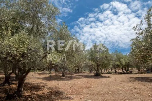 Land Parcel 13524m²  - 5