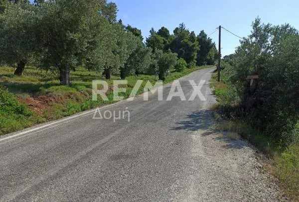 Αγροτεμάχιο 4144τ.μ.  - 2