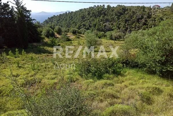Αγροτεμάχιο 4144τ.μ.  - 3