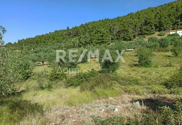 Αγροτεμάχιο 4144τ.μ.  - 5