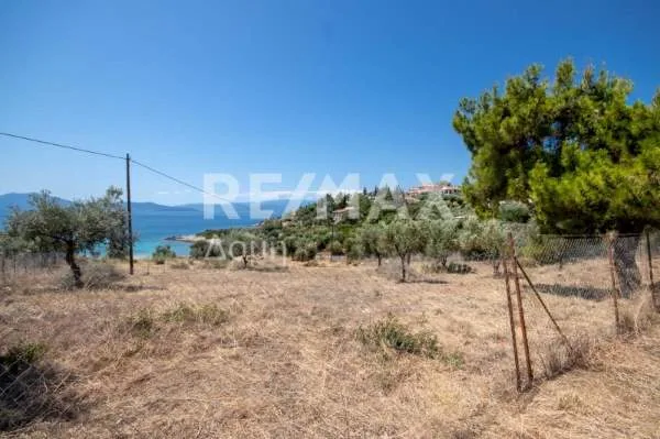Αγροτεμάχιο 4448τ.μ.  - 2