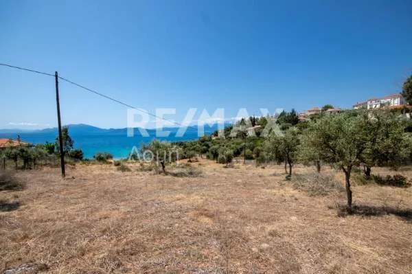 Αγροτεμάχιο 4448τ.μ.  - 4