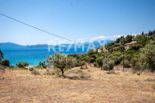 Αγροτεμάχιο 4448τ.μ.  - 5