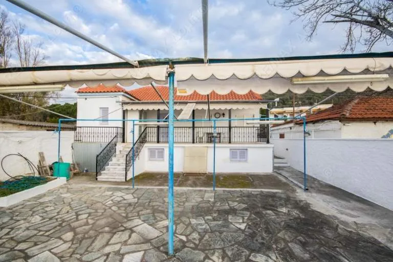 Shop 64m²  - 2