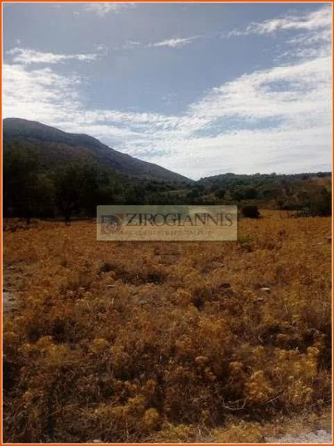 Land Parcel 4000m²  - 3