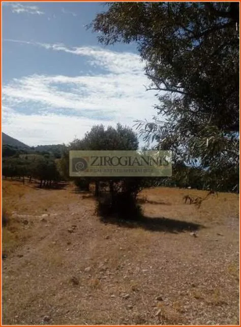 Land Parcel 4000m²  - 4