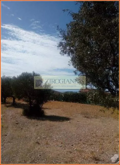Land Parcel 4000m²  - 5