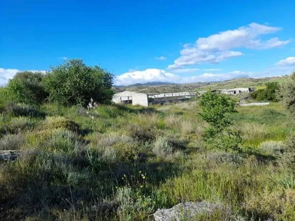 Αγροτεμάχιο 1190τ.μ.  - 4
