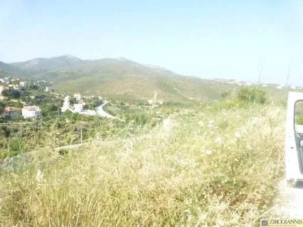 Detached house 300m²  - 2