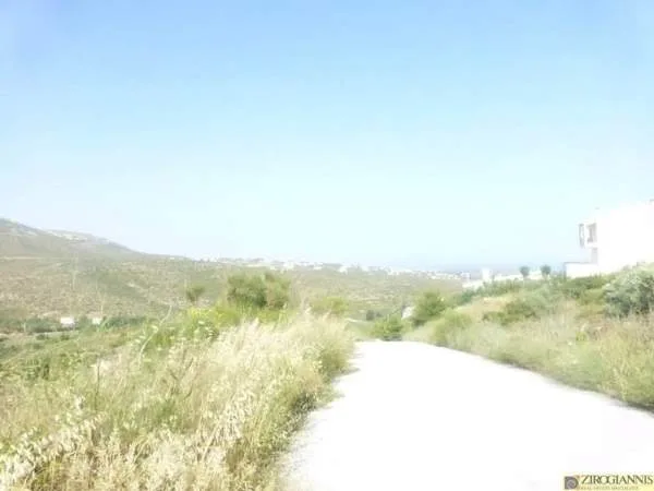 Detached house 300m²  - 3