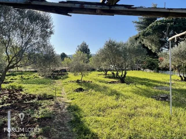 Detached house 4000m²  - 5