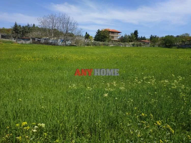 Αγροτεμάχιο 6020τ.μ.  - 2