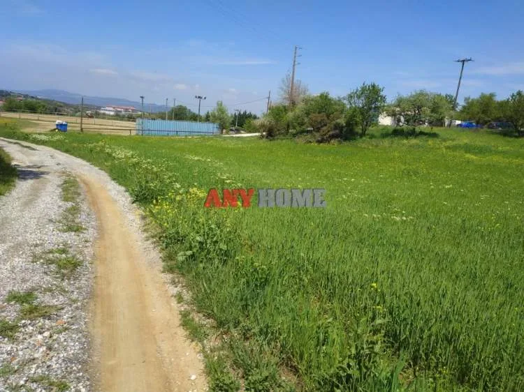Αγροτεμάχιο 6020τ.μ.  - 4